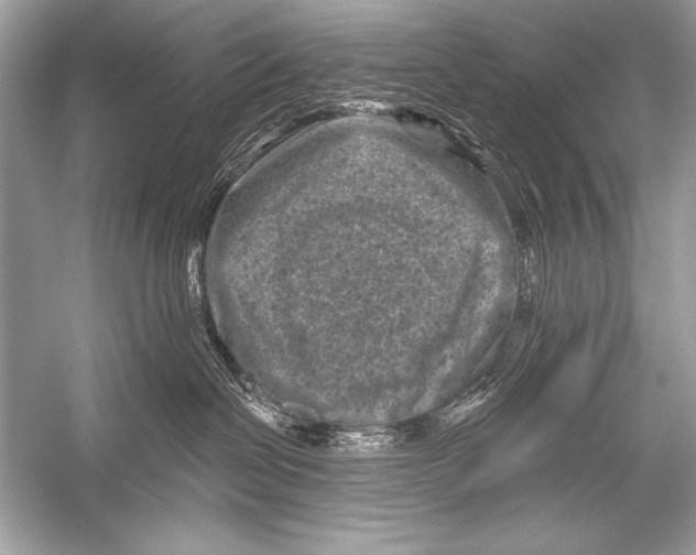 X0000051860286200507221905