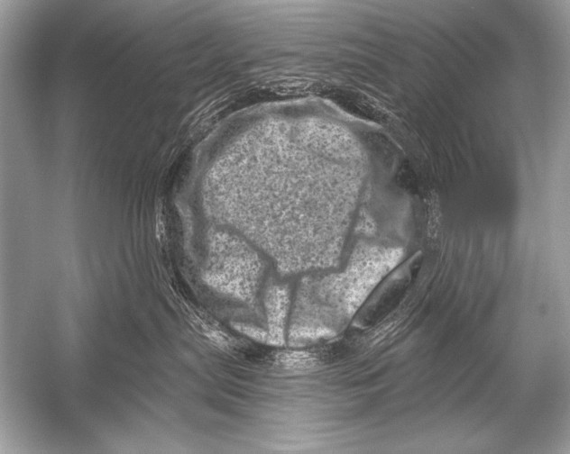 X0000051860287200507221905