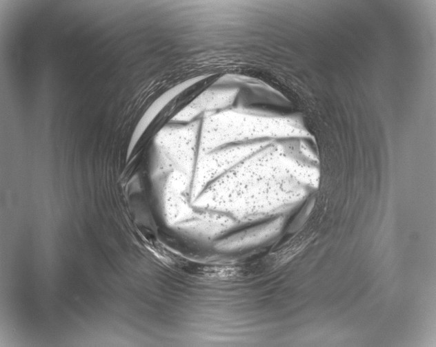 X0000051860288200507221905