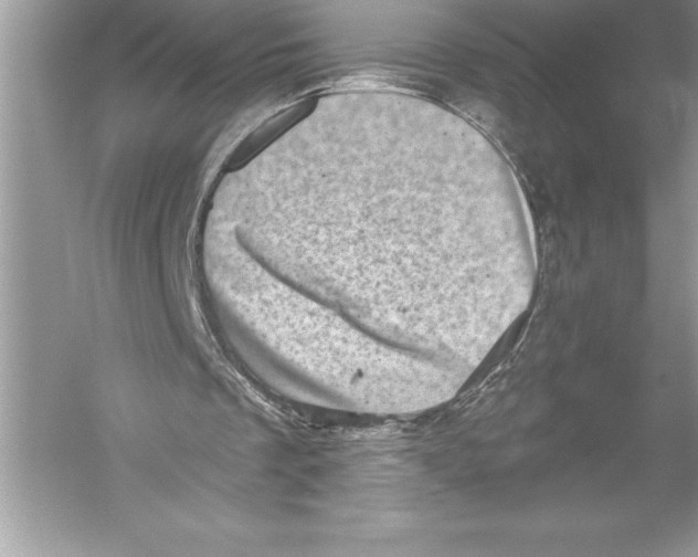 X0000051860289200507221904