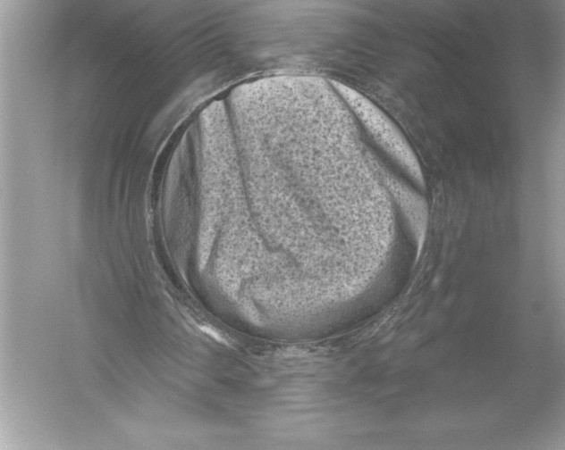 X0000051860290200507221904