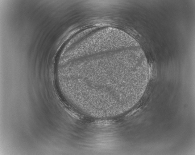 X0000051860291200507221904