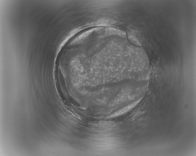 X0000051860292200507221904