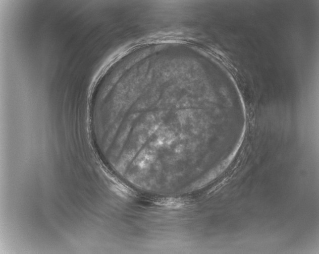 X0000051860293200507221904