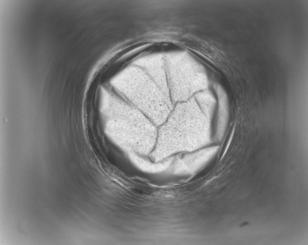 X0000051860294200507221904