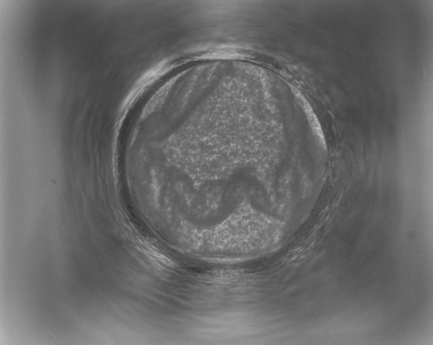 X0000051860296200507221904