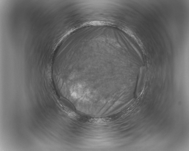 X0000051860297200507221904