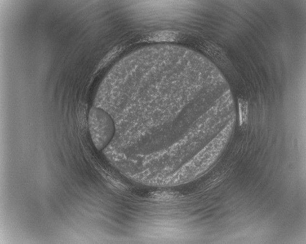 X0000051860300200507221904