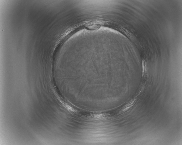 X0000051860301200507221904