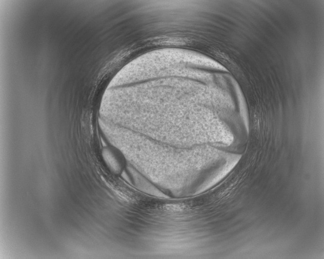 X0000051860302200507221904