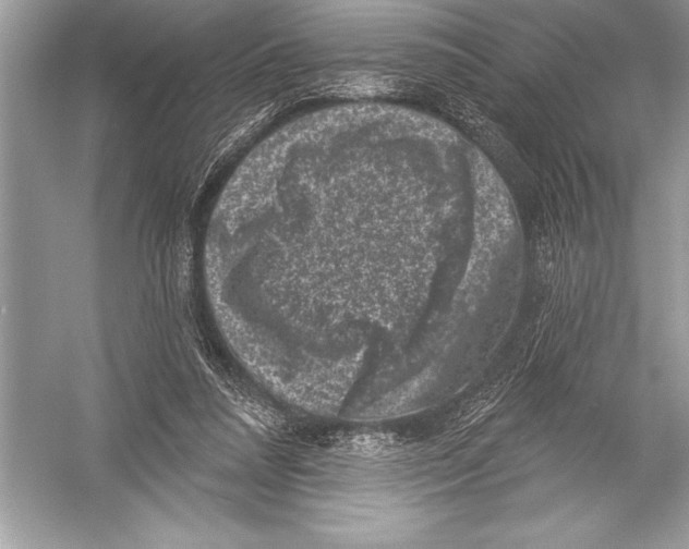 X0000051860304200507221904