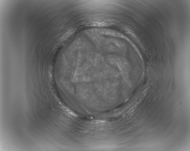 X0000051860305200507221904