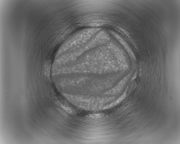 X0000051860307200507221904