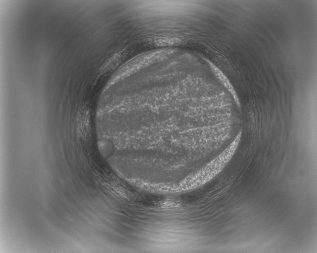 X0000051860308200507221904