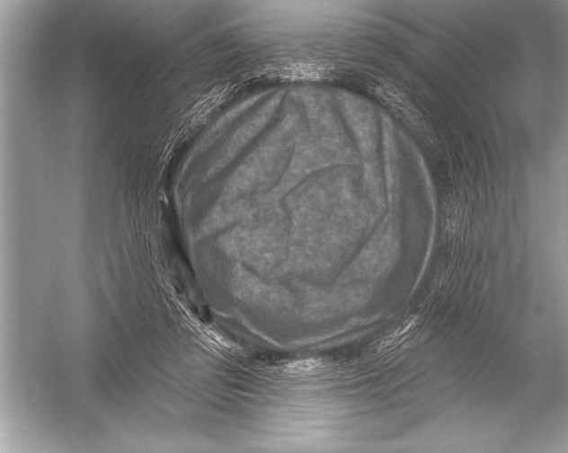 X0000051860309200507221904