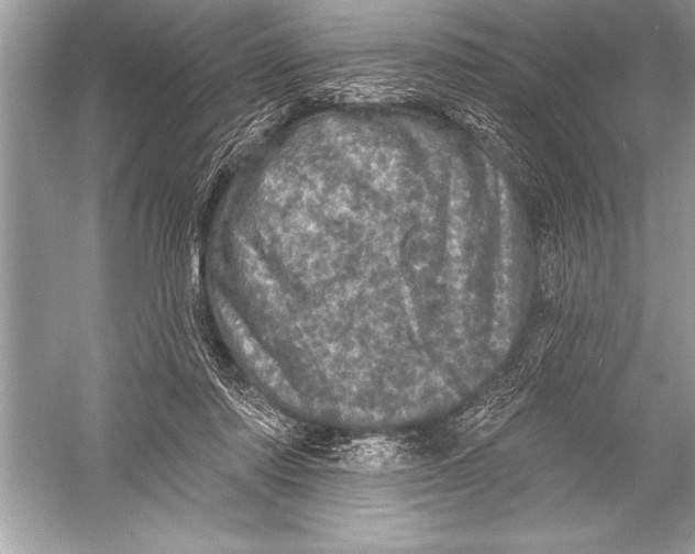 X0000051860310200507221904