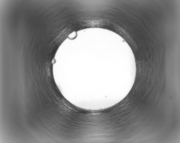 X0000051860313200507221904