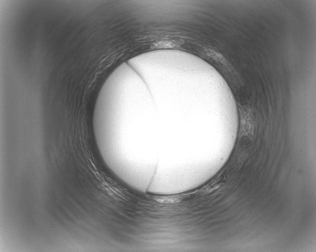 X0000051860314200507221904