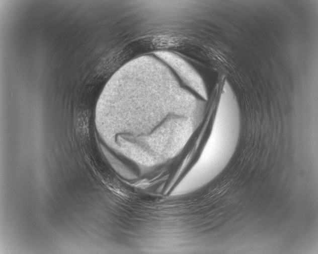 X0000051860315200507221904