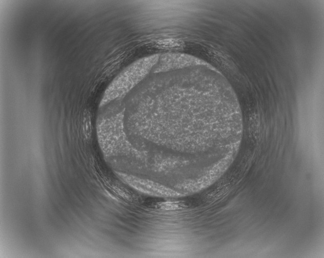 X0000051860320200507221904