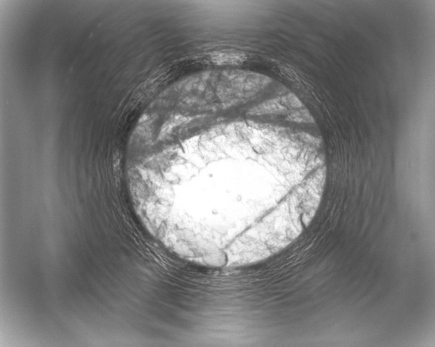 X0000051860321200507221904