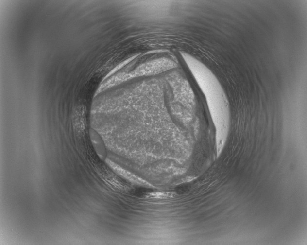 X0000051860323200507221903