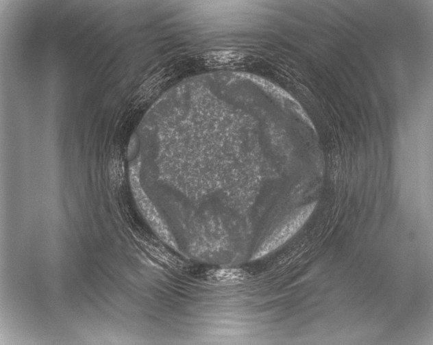 X0000051860324200507221903