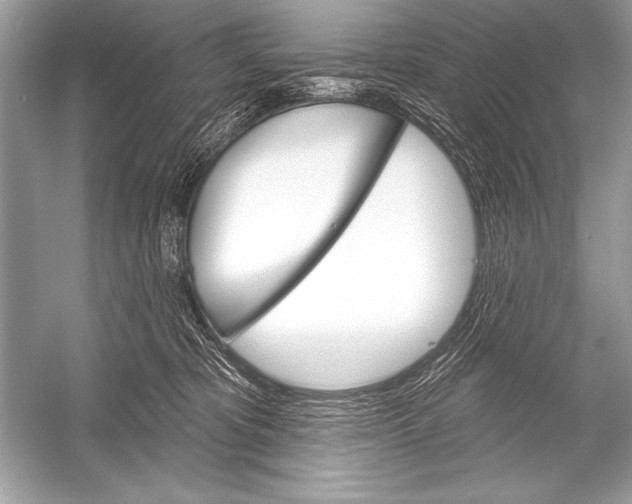 X0000051860325200507221903