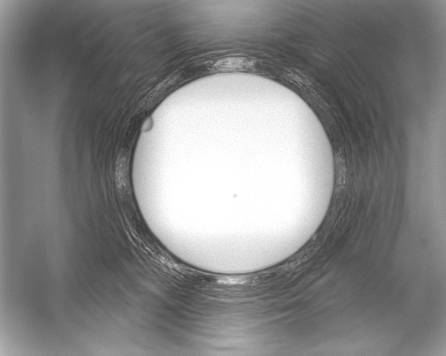 X0000051860326200507221903