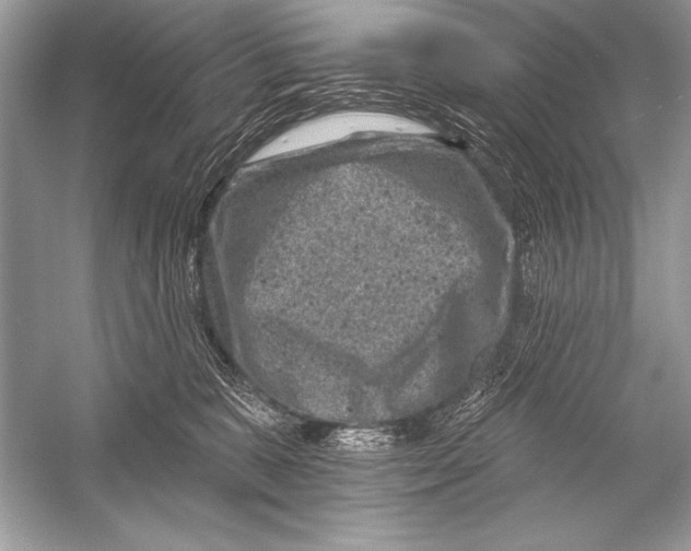 X0000051860327200507221903