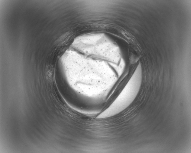 X0000051860329200507221903