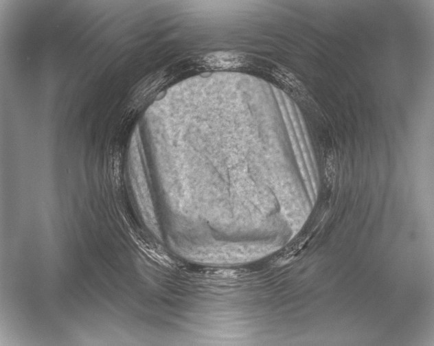 X0000051860330200507221903