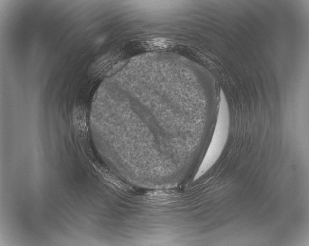 X0000051860331200507221903