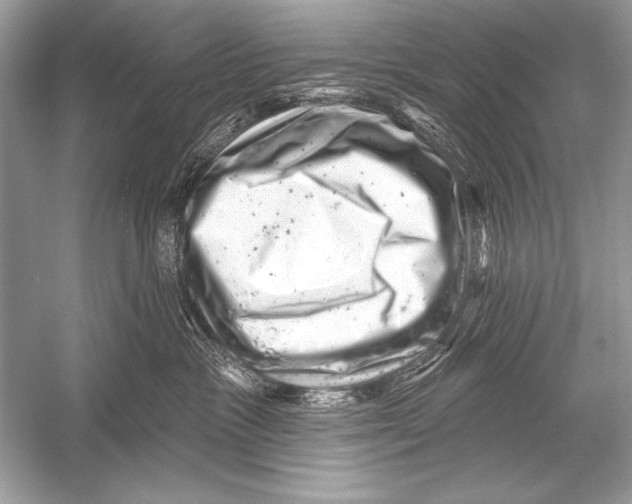 X0000051860333200507221903