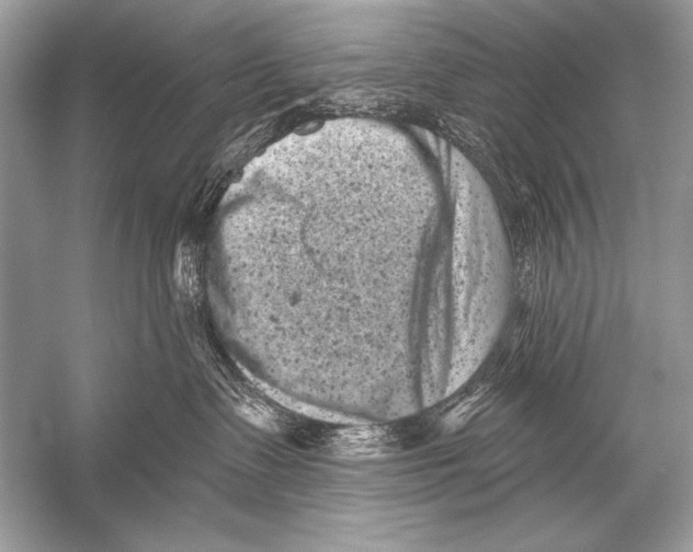 X0000051860335200507221903