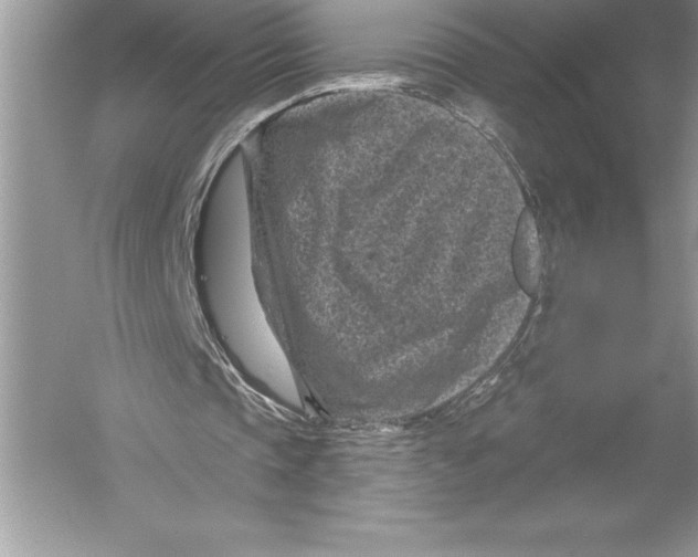 X0000051860337200507221902