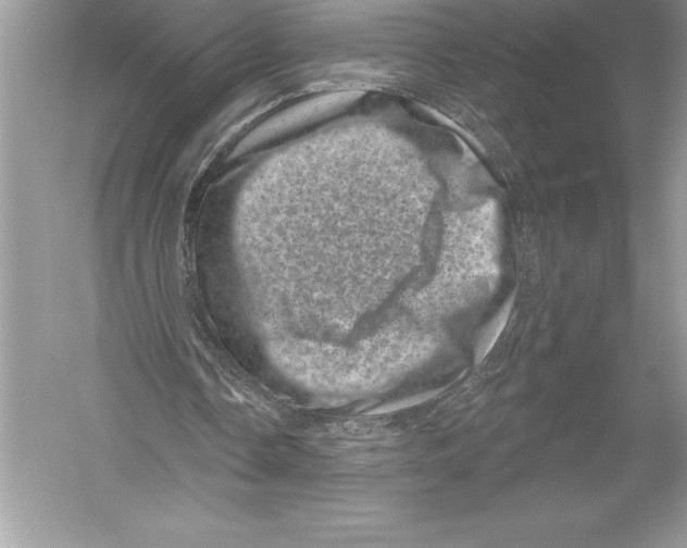 X0000051860338200507221902