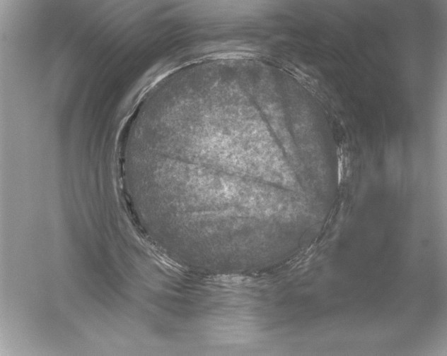 X0000051860339200507221902