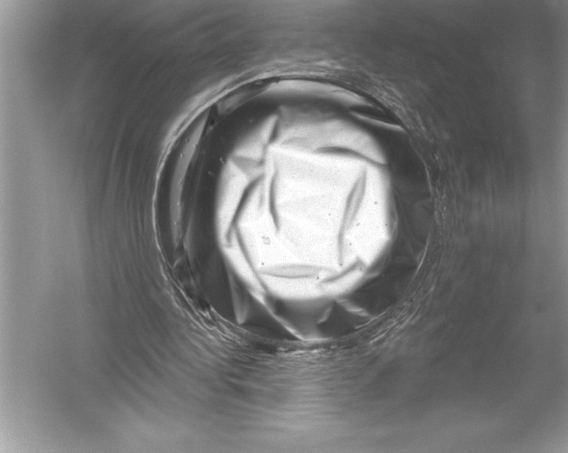 X0000051860340200507221902