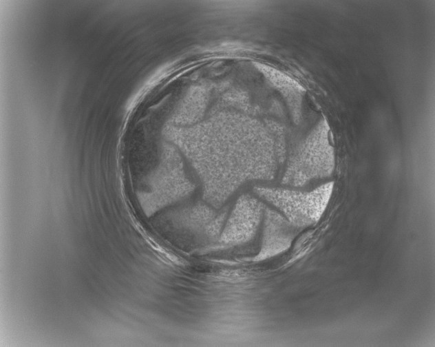 X0000051860341200507221903