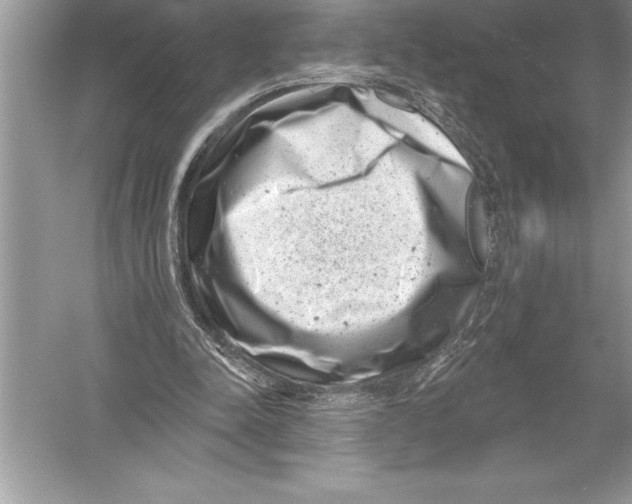 X0000051860342200507221903