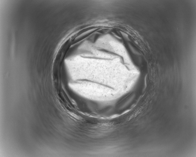 X0000051860344200507221903