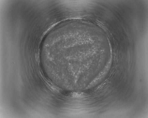 X0000051860346200507221903