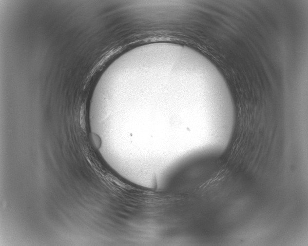 X0000051860347200507221903