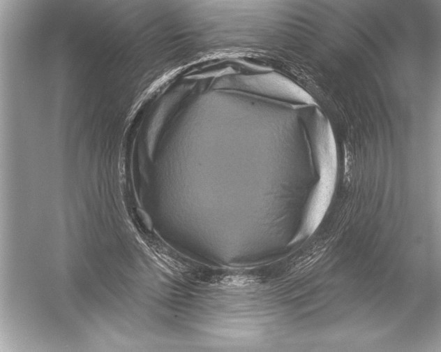 X0000051860348200507221903