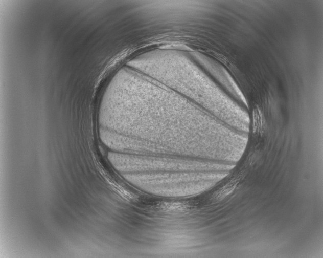 X0000051860349200507221903