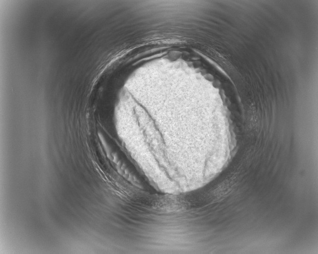 X0000051860351200507221903