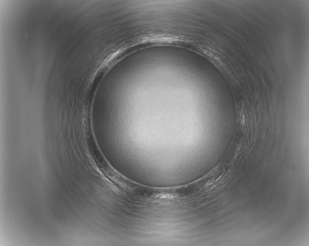 X0000051860352200507221903