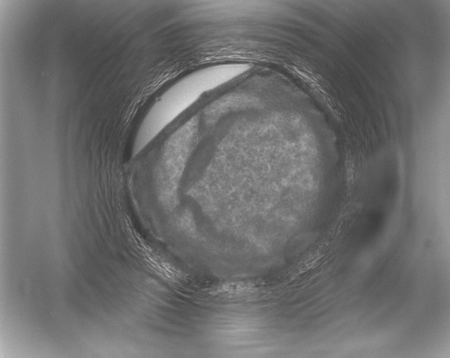 X0000051860353200507221903