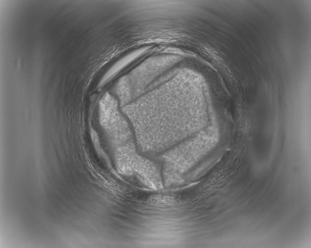 X0000051860354200507221903